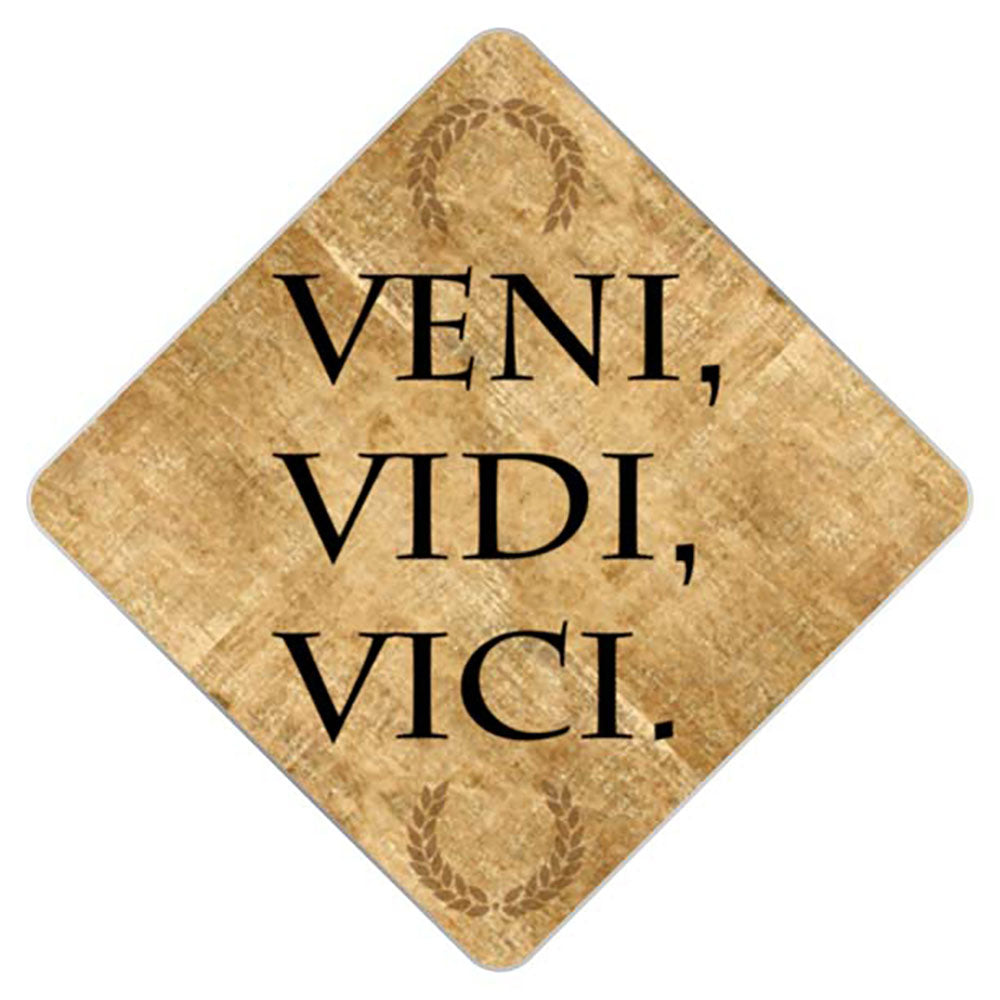 Veni Vidi Vici (I came, I saw, I conquered) - Veni Vidi Vici - Pin