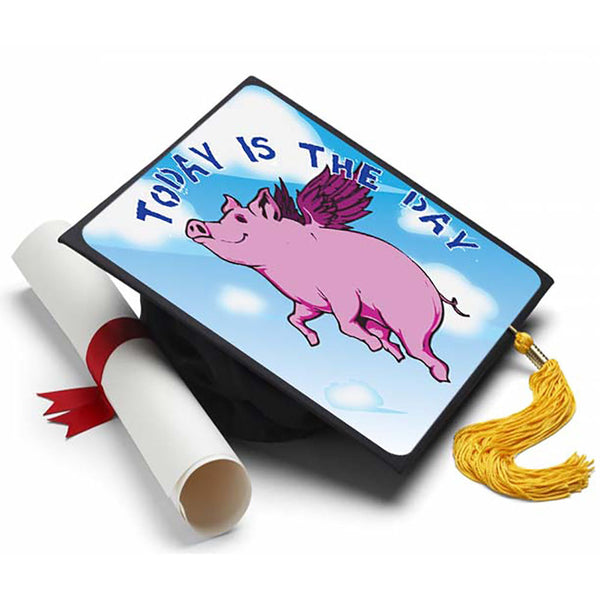 When Pigs Fly Grad Cap Tassel Topper - Tassel Toppers - Professionally Decorated Grad Caps